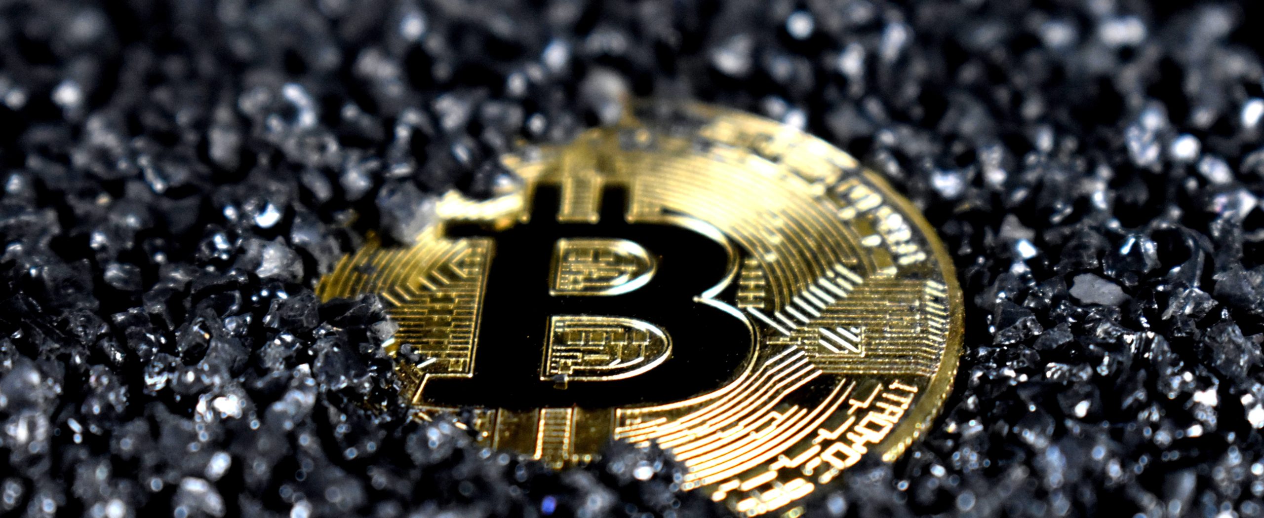 Crypto Currency Basics and Intermediate Training episode artwork