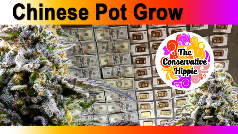 Chinese Pot Grow